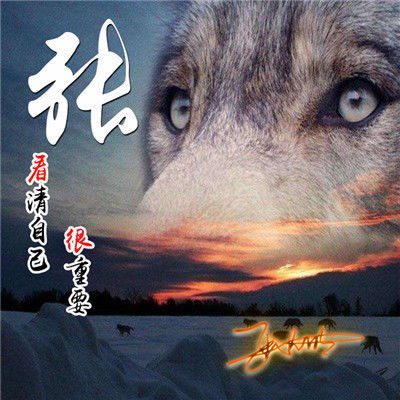  带自己姓氏的头像图片张李陈叶刘曹朱将