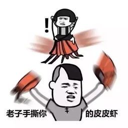  天了噜,皮皮虾我们走用英文竟然这样说