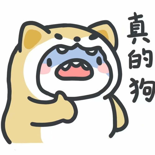  表情包最近很火的小鲨鱼表情包无水印版