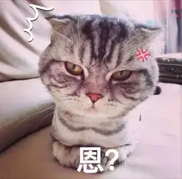  你看过的喵星人性格鉴定法,没一个是准的