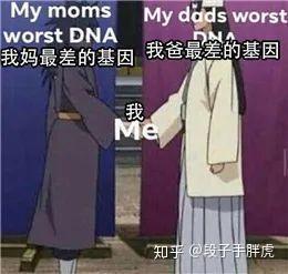  我们整理了全网又野又沙雕的表情包,保证让你一秒笑成狗