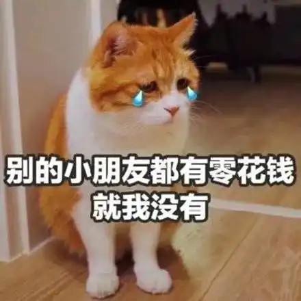 要零花钱专用表情包,对付男友老爸专用,别谢叔
