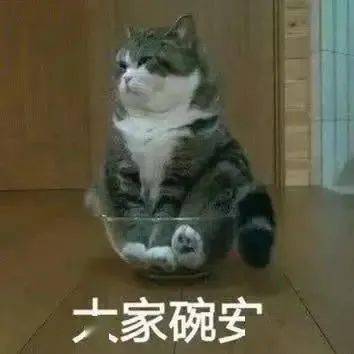  套路聊天表情包