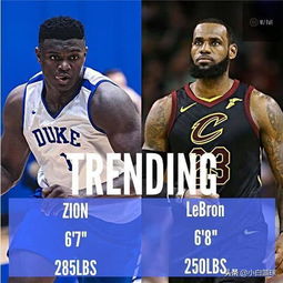  小詹皇19选秀前大学数据229,那神魔佛鲨入nba前大学数据如何