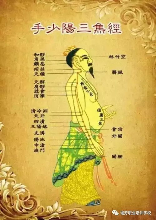  经络越通,负面情绪越消失瑞芳美容班,经络养生课程开课啦