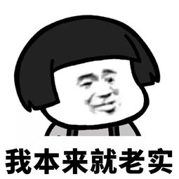  表情l你好,我叫老实人