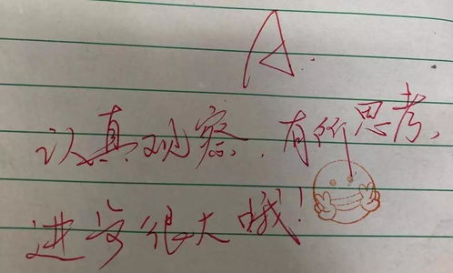  赞老师变身段子手,表情包式批改作业网友我都想写作业了