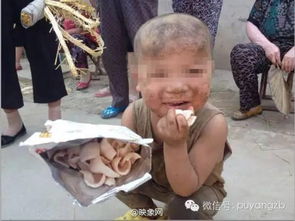  河南与猪同住男童每月将获补助500元