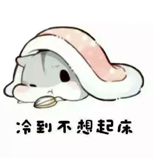  好冷冷冷冷啊,是时候告诉你在4的大山怎样保暖了