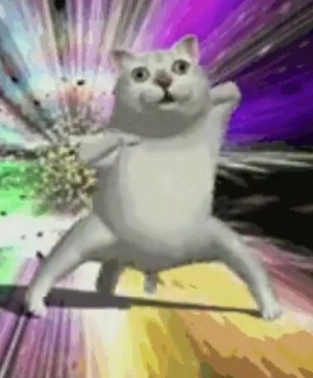  憨憨猫mur猫表情包系列