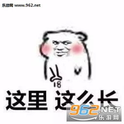  这里没有钱表情图片这里系列表情包下载乐游网游戏下载