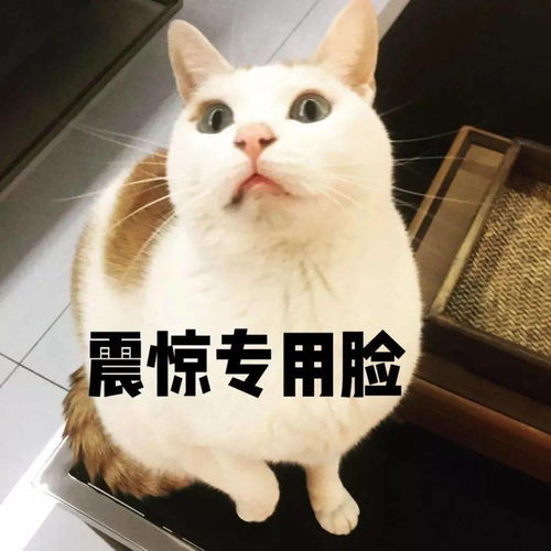  湖北丨痛心女孩患感冒去医院输完液后当场死亡医院接诊流程是规范的
