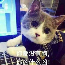  搞笑表情包你跟我说这些没用用,因为我只是一只猫