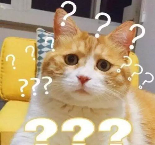  为什么没有猫年答案有点搞笑了