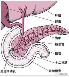  吃外卖真的会让血液变成猪油色吗