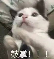  猫咪表情包合集看着我的双下巴再说一遍