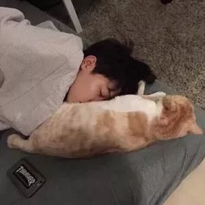  100张火爆的微信头像