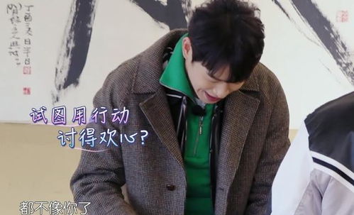  妻子3将迎来新女嘉宾,2条线索表明不是谢娜,全程被打表情包
