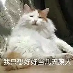 与地球重修旧好图片朋友圈背景图梦里都是暴富的图片表情包下载乐游网游戏下载