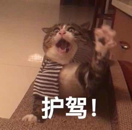  搞笑小段子姑娘倒算讲理,就是说不能被白摸,非得也要摸回来