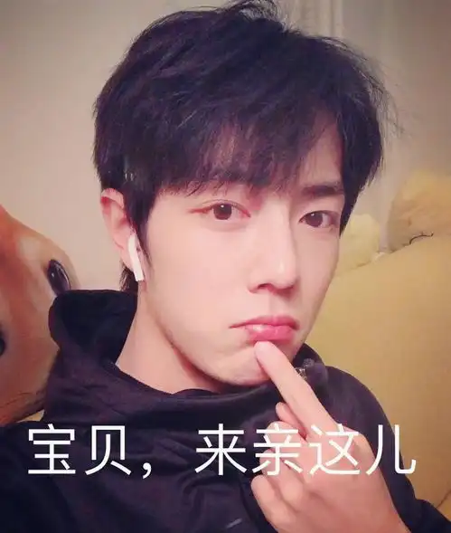  肖战的表情包合集
