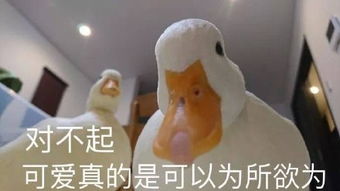  吸鸭让你快乐