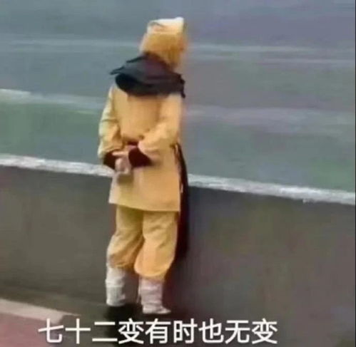  七位数uid的我居然还是四级