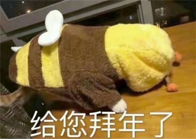  给您拜年了给您拜回去表情包