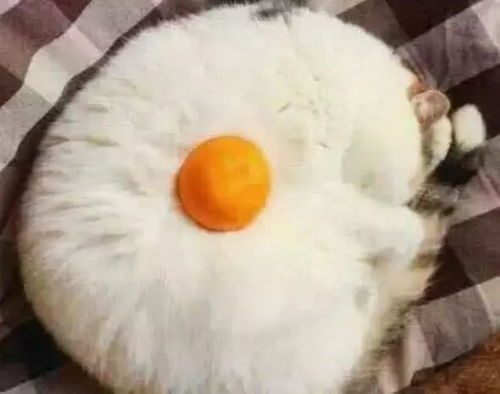  老师看不出来的情侣头像00后都在用,小编撞到头像算我输