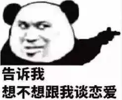  从流浪猫到富翁这只戏精猫逆袭成表情包影帝