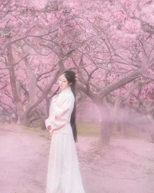  恋爱时情商高的3大星座女生,追求浪漫情调,可以让你心心念念
