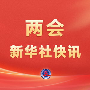  十四届全国人大三次会议批准2025年国民经济和社会发展计划
