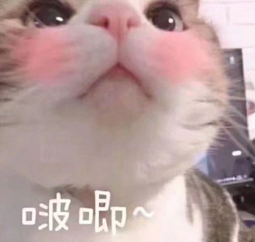  你们怎么看待网恋呢