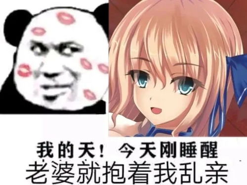  无标题
