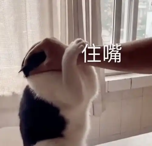  奇怪的表情增加了