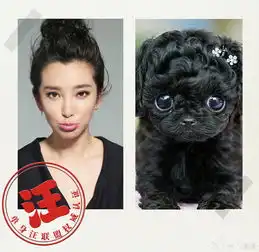 原神表情包图集可保存李