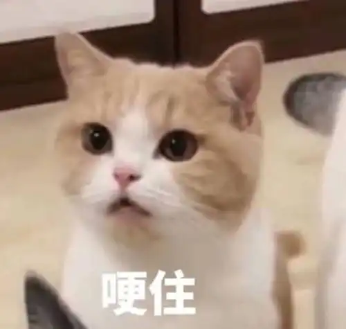  青春有你主题考核再分组,李汶翰梗王附身