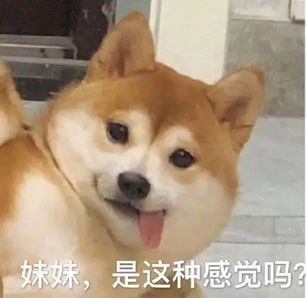  乔杉捂脸大笑动图乔杉动图大笑表情