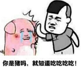  家里的红灯笼变巨型马蜂窝送上门的蜂蜜你敢吃吗