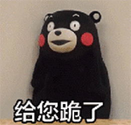  大哥给跪了表情包soogif