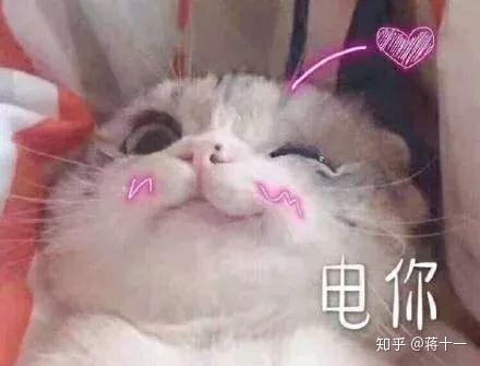 如何哄老婆开心表情包夸