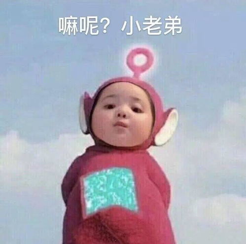  志愿填报2选择地区