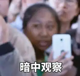  虹桥机场一姐走红粉丝圈7种形态你看得懂吗