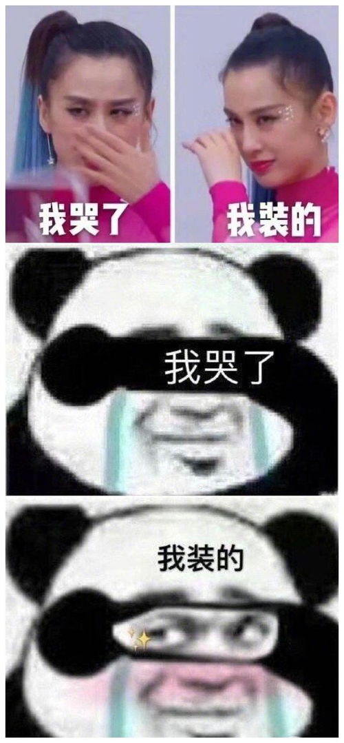  乘风破浪姐姐们的表情包爆火网络,黄圣依我哭了,我装的