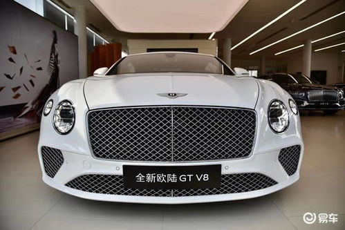  全新的宾利欧陆gt独一无二的精品超跑白色欧陆国六售价