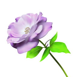  月季花模板免费下载ai格式编号16784047千图网