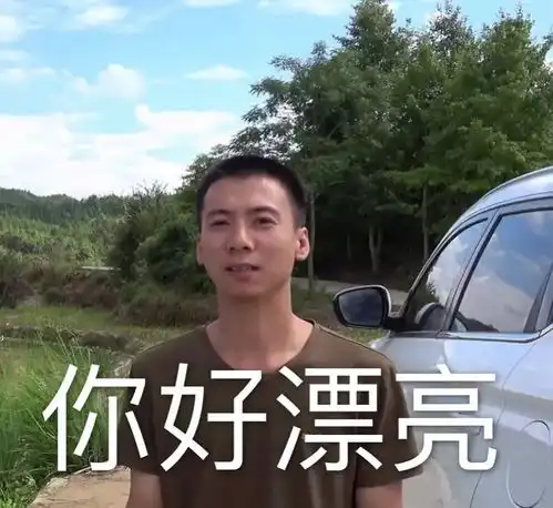  华农兄弟表情包