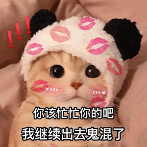  表情包根本没有人想听你说话