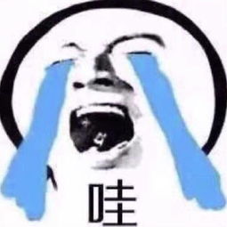  表情哇哭出来堆糖,美好生活研究所