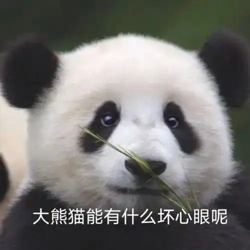  幽默搞笑表情包要抱抱